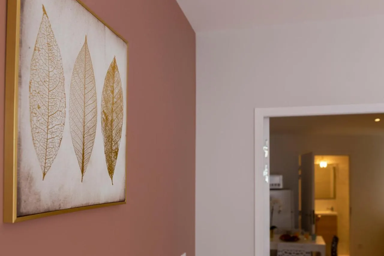 Loc Trotteur Le Fleur Des Champs F2 Cosy, Gare Sncf De Lourdes Apartment
